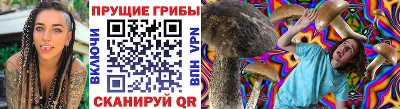 Псилоцибиновые грибы прущие грибы Каменск-Уральский