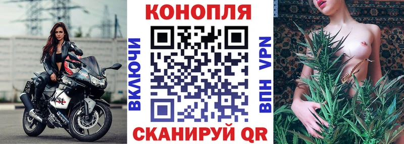 Бошки Шишки ГИДРОПОН  Каменск-Уральский 